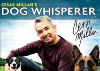 Cesar Millans Dog Whisperer