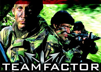 Team Factor