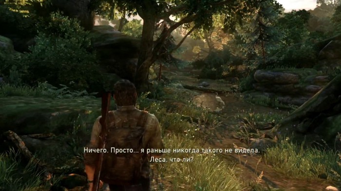 the Last of Us